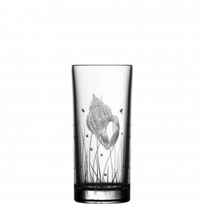 Pacifica Shell Clear Highball