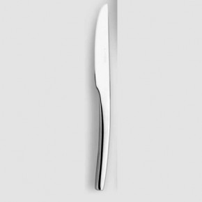 Steel Stainless Fruit Knife