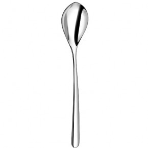 Elixir Stainless Serving Spoon