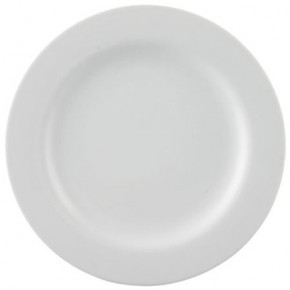 Moon White Dinner Plate 11 in