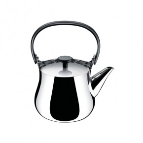 Stainless Steel Stovetop Tea Kettle In Mirror Polished Stainless Steel