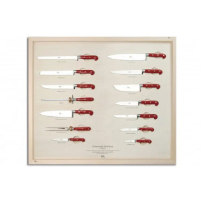 Red Lucite Wall Display Complete Set of 14 Pcs