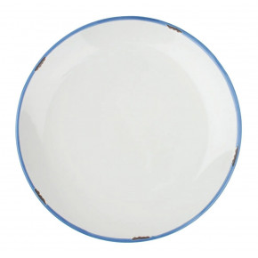 Tinware White Blue Dinnerware