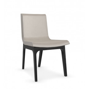 Starr Dining Chair