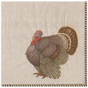 Thomas T. Byrd Paper Dinner Napkins, 20 Per Pack