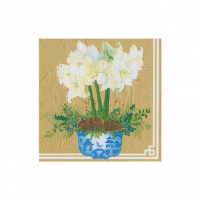 Potted Amaryllis Gold Boxed Paper Cocktail Napkins, 40 Per Box