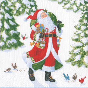 Woodland Santa Paper Dinner Napkins, 20 Per Pack