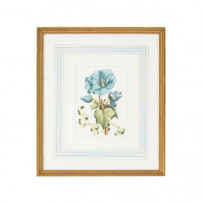 Bl Floral W/Ribbon A Hand Colored Engraving