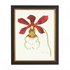 Majestic Orchid II Hand Colored Print