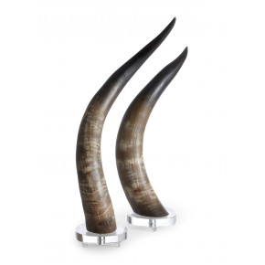 Horns Natural (Set of 2)