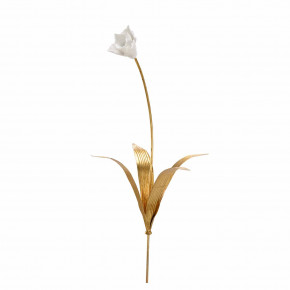 Tulip Stem Medium