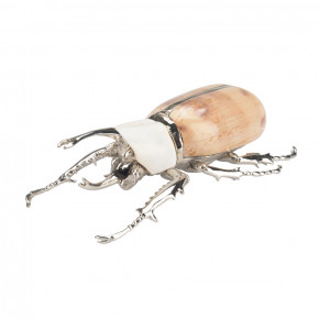 Beetle Paperweight