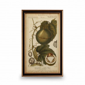 Exotic Botanica I Giclee Print