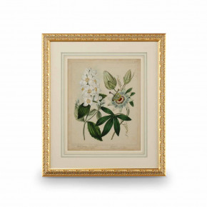 Cottage Florals II Giclee Print