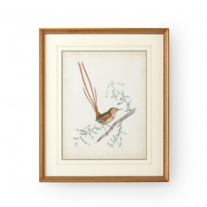 Delicate Birds I Giclee Print