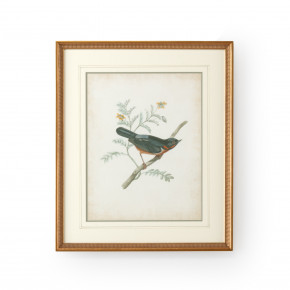 Delicate Birds III Giclee Print