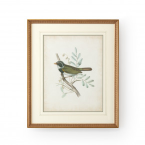 Delicate Birds VI Giclee Print
