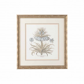 Besler Botanical In Blue I Hand Colored Lithograph Ice Blue