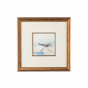 Sand Piper IV Watercolor Ant. Gold Frame