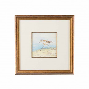 Sand Piper V Watercolor Ant. Gold Frame