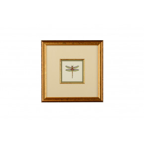 Miniature Dragonfly IV Giclee