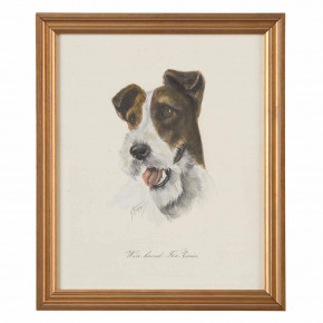 Wire Haired Fox Terrier Hand Colored Lithograph