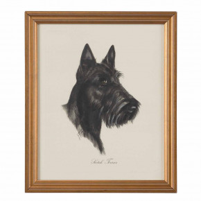 Scotch Terrier Hand Painted Lithograph