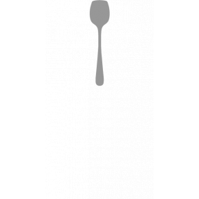 Alcantara Steel Polished Sugar Spoon 5.1 in (13 cm)
