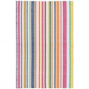 Summer Stripe Handwoven Indooor/Outdoor Rug 2' x 3'