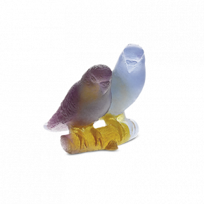 Amber Budgerigars Couple (Special Order)