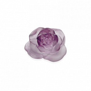 Rose Passion Pink Flower (Special Order)