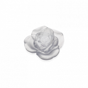 Rose Passion White Flower (Special Order)