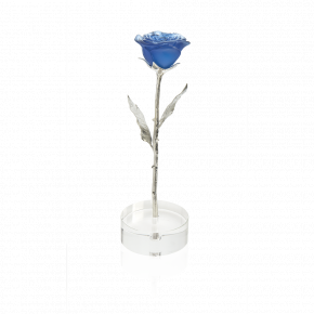Eternal Rose Blue Rose Eternelle (Special Order)