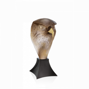 Falcon Head by Madeleine Van Der Knoop (Special Order)