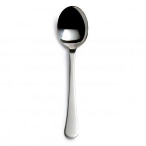 Classic Stainless Serving Spoon