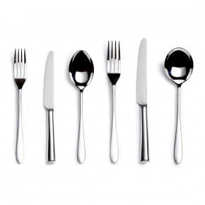 Pride Stainless 6-Piece Place Setting