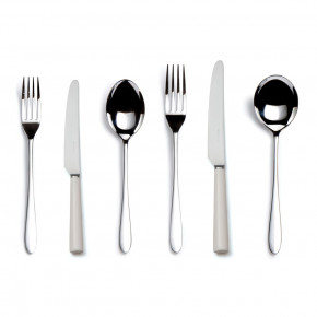 Pride IV Stainless 6-Piece Place Setting