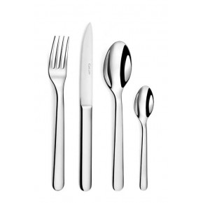 Alkaline Stainless 5 Pc Setting (Table Knife, Table Fork, Dessert/Salad Fork, Dessert/Soup Spoon, Tea Spoon)