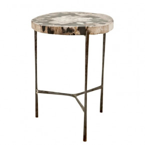 Boylan Petrified Wood Side Table