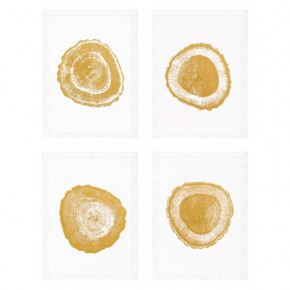 EC257 Gold Foil: Tree Rings Set of 4 Print