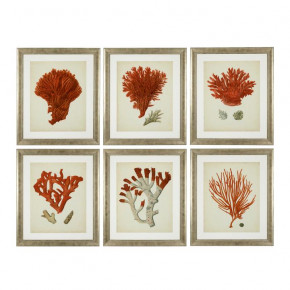 EC258 Antique Red Corals Set of 6 Print