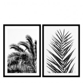 EC274 Palm Leaves Set of 2 Print