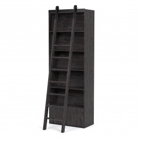 Bane Bookshelf & Ladder Dark Charcoal