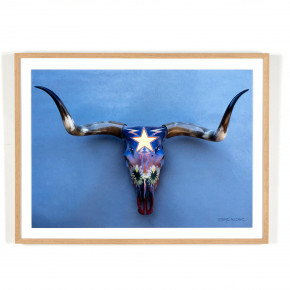 Texas Cahoots By Boyd Elder