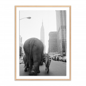 Circus Animals 33rd St by Getty Images