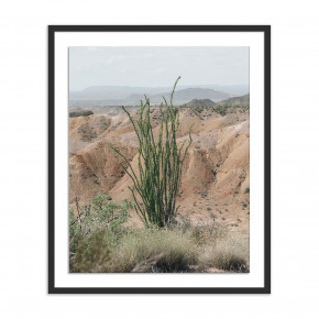 Ocotillo by Mandy Steinback Black 2.5 Maple 33" x 40"