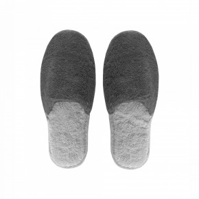 Bicolore Storm/Silver Slippers