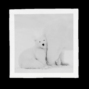 Kyriakos Kaziras Arctic Emotion Black/White Porcelain Panel Mummy I Love You Numbered Ed 55 Cm