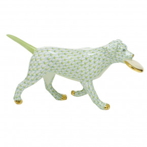 Frisbee Dog Key Lime 6.75 in L X 1.75 in W X 3.5 in H