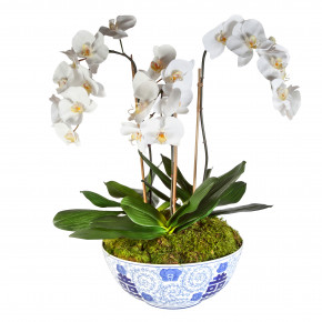 Triple Orchid in Blue & White Bowl 26x26x27